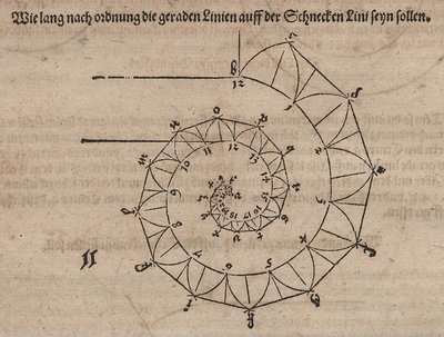 Determinación de las longitudes de las espinas aplicadas en una espiral tangente de Albrecht Dürer